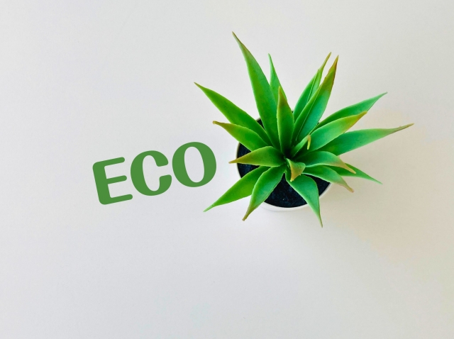 エコリフォーム