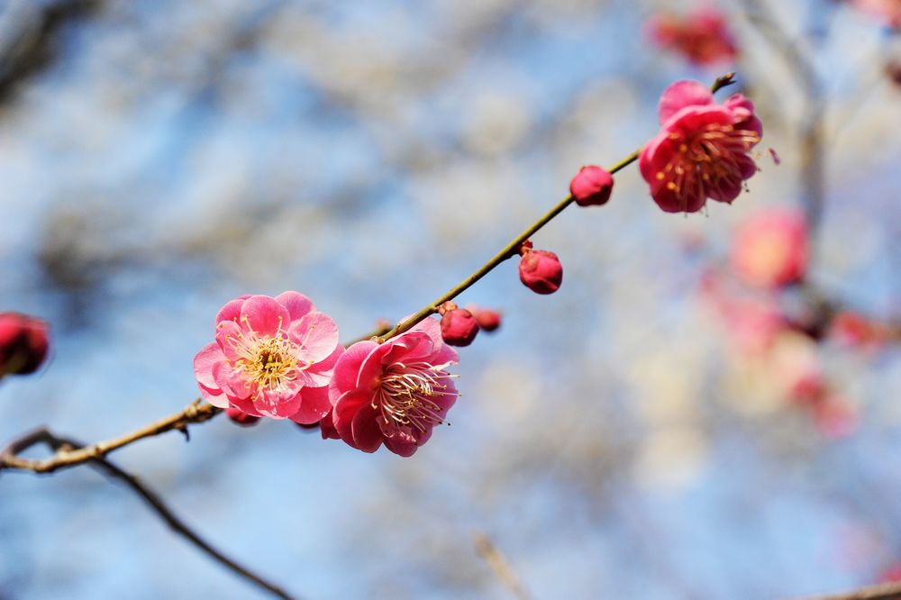 建設、不動産社長必見！AI活用による売上アップの営業戦略&具体策セミナー開催のお知らせ