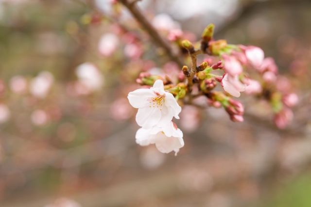 忙しい社長がお金を増やす方法