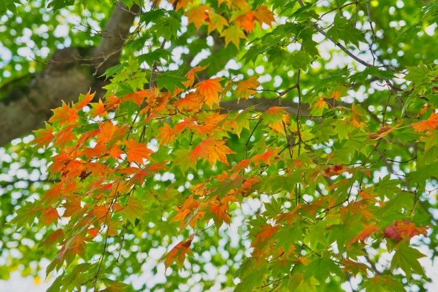 新常識。決算時に社長が考えるべき対策とは？