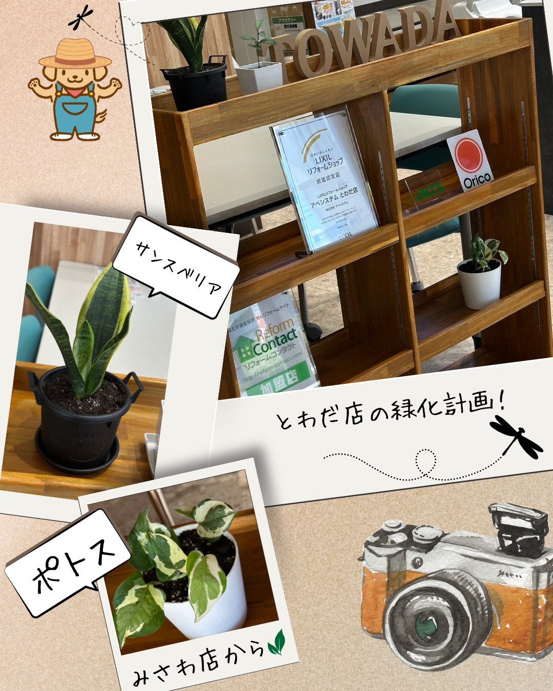 https://www.lixil-reformshop.jp/shop/SC00021007/photos/09green.png