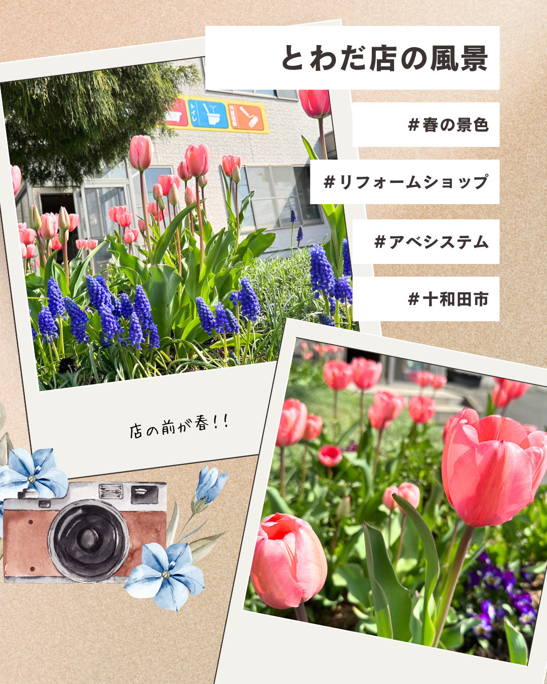 ベージュ コラージュ 写真 カメラ イラスト 女性向け インスタグラムの投稿 縦.png