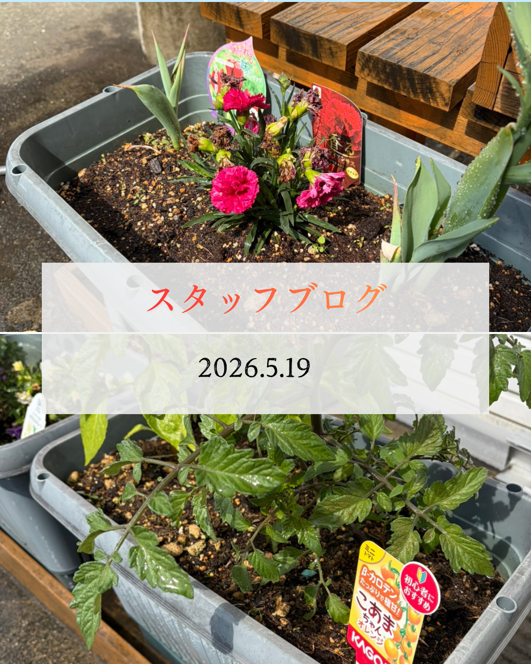 シンプル 写真 コーヒー カフェ 営業中 Instagramの投稿 (10).png