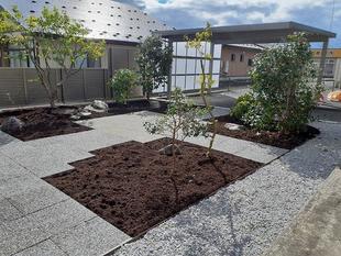 プライバシーを守れる明るい庭作り