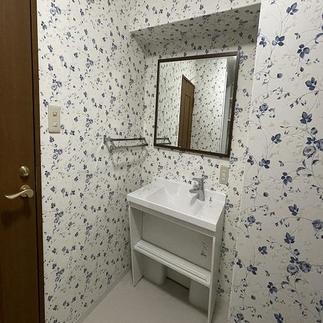 洗面化粧台(鏡共)更新