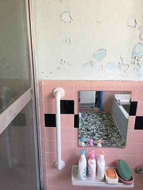 s-IMG_1767 - コピー.jpg