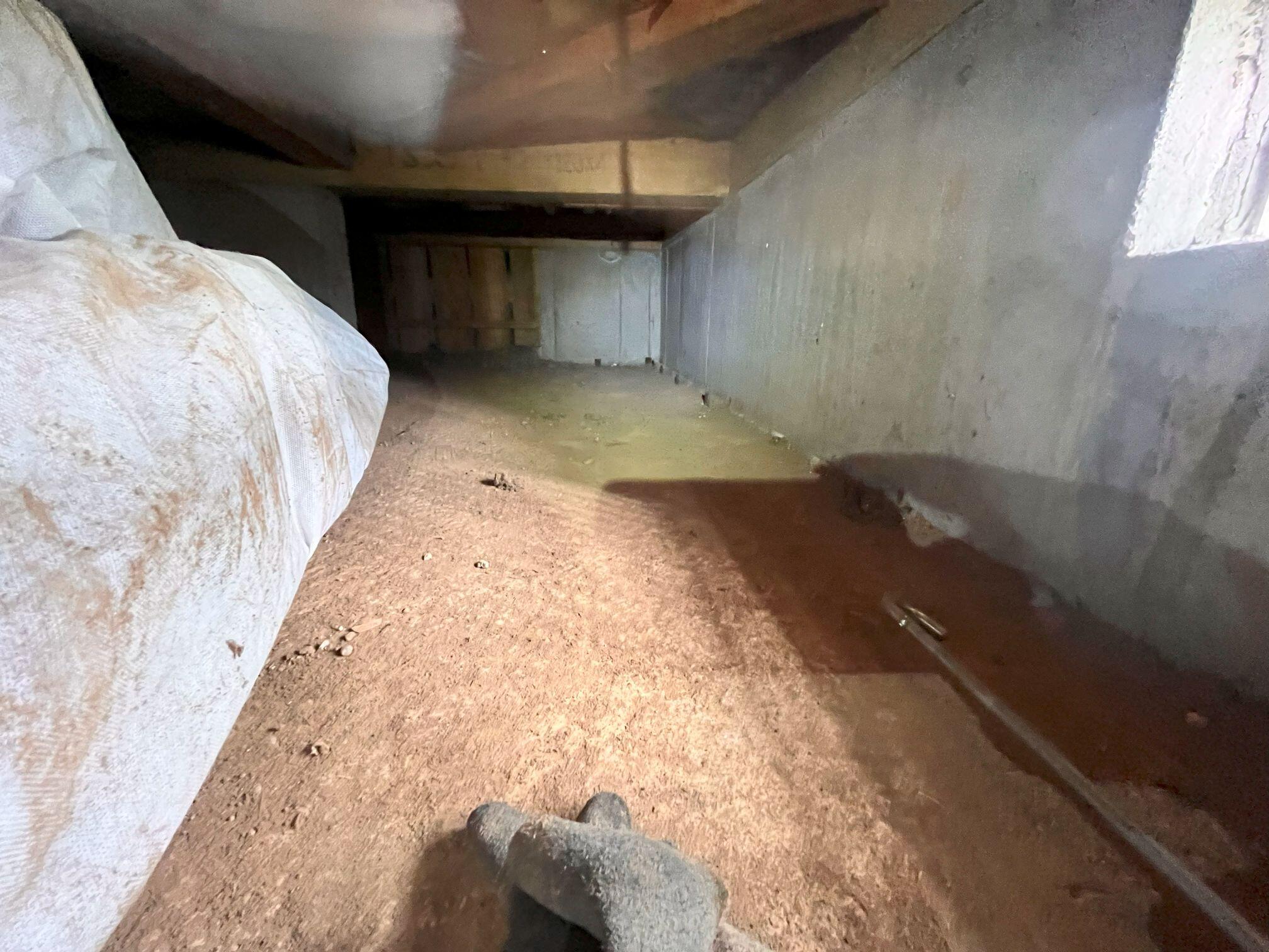 床下掃除 (2).jpg