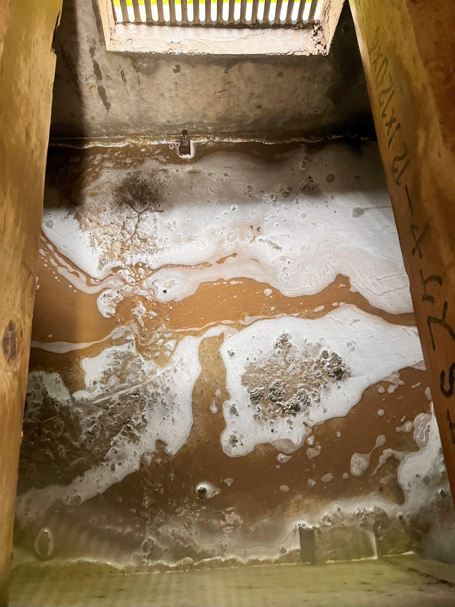 土壌処理 (1).jpg