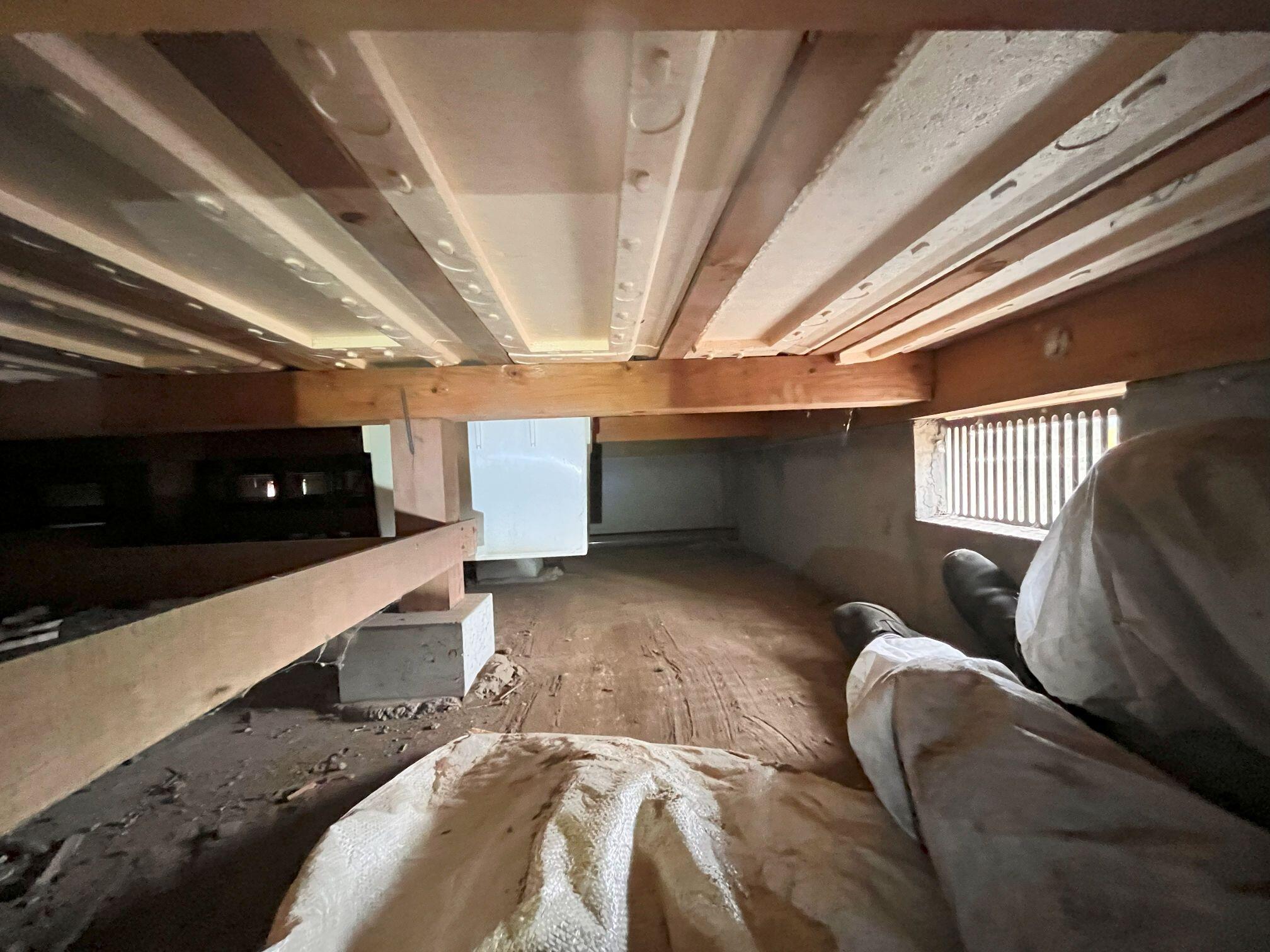 床下掃除 (1).jpg