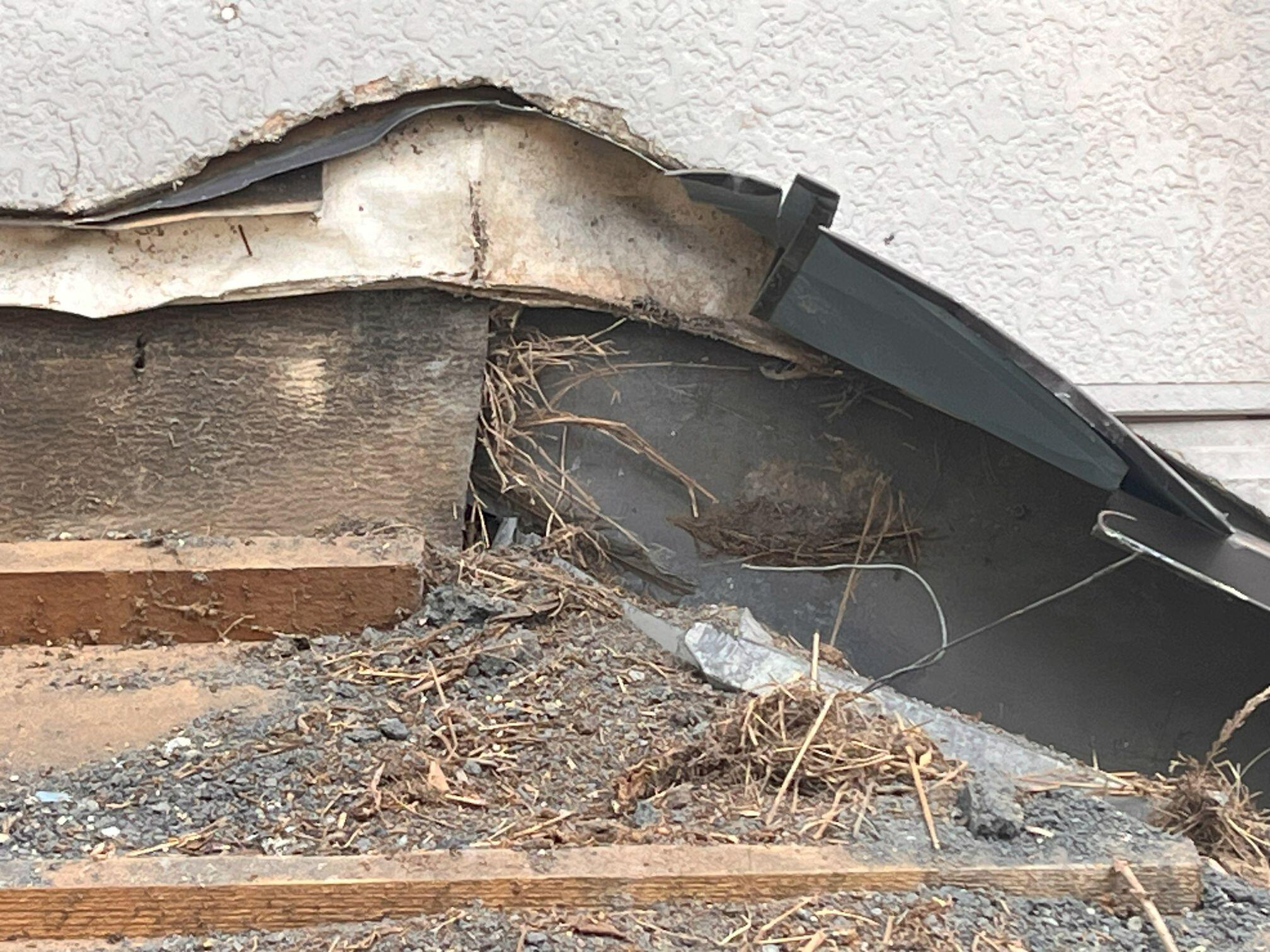 瓦撤去 状況確認 (10).jpg