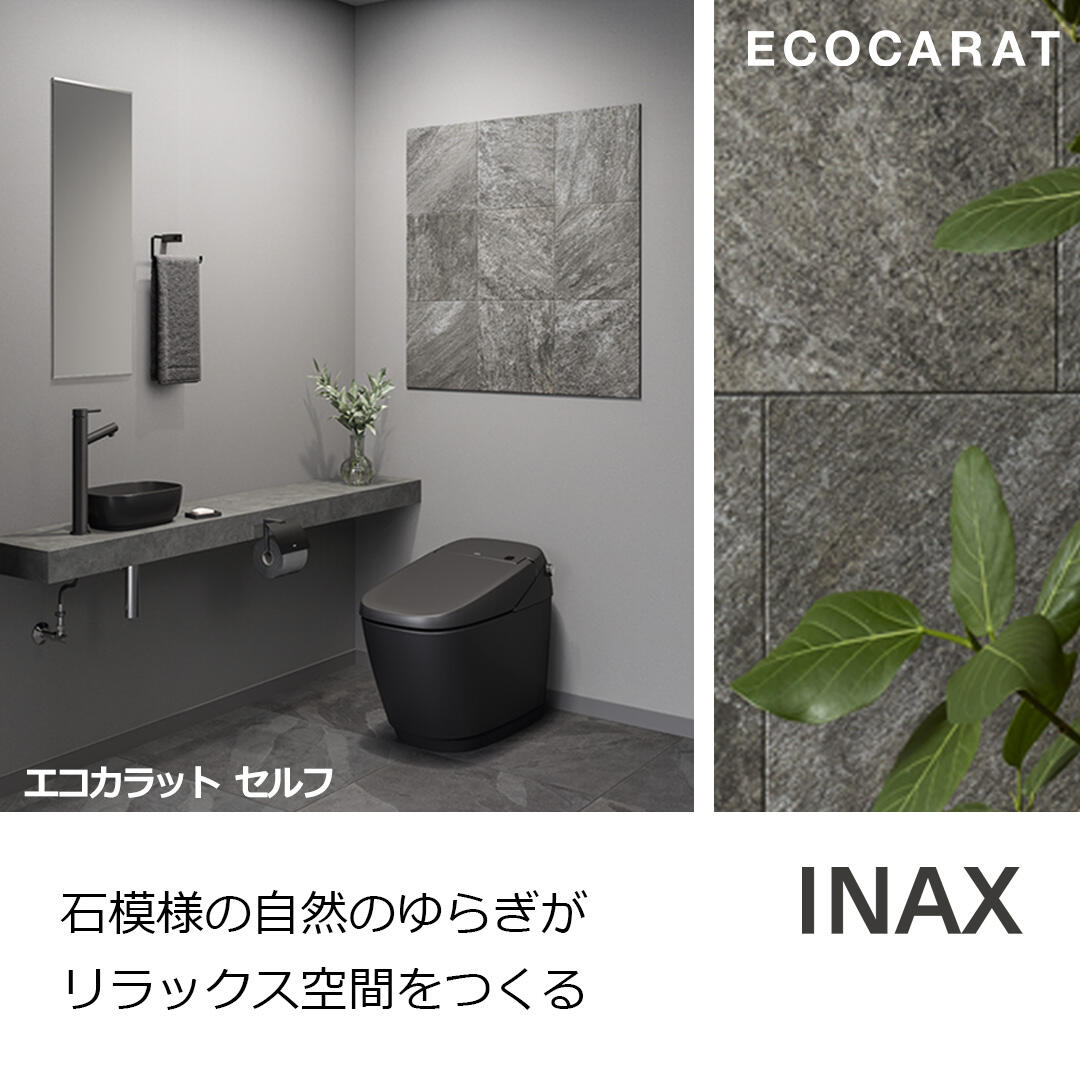 2601_ecocaratself02.jpg