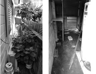 外回り【施工前】