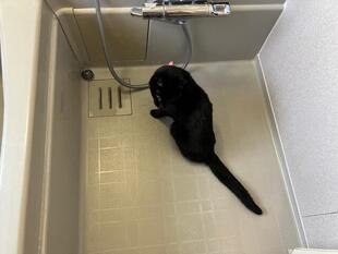 【那珂川町】浴室換気乾燥暖房機リフォーム