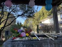 S__4194320_0.jpgのサムネイル画像