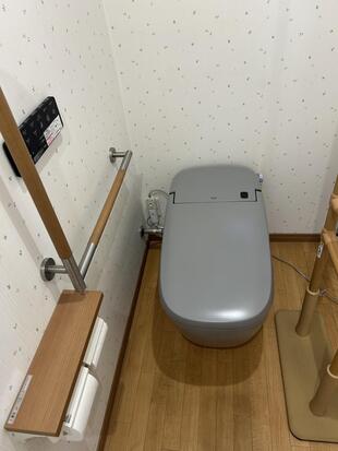 落ち着いた上品なトイレ空間へ～サティスX