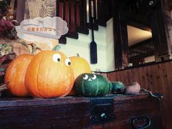かぼちゃまだかな.jpg