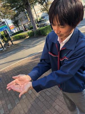 やもり怖い部長