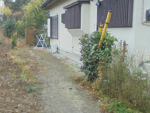 ビフォー