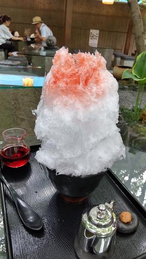 IMG_0487.jpgのサムネイル画像