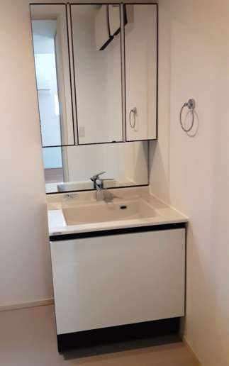 ルミシスボウル一体型