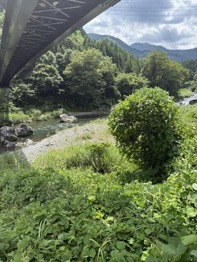 image1.jpeg