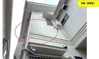 コケによる経年劣化