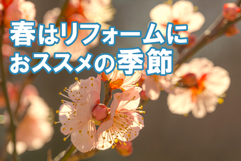 梅の花1.png