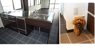 キッチンと犬用小窓 ～ペットも住みやすく