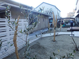 季節毎に変化を楽しめる庭