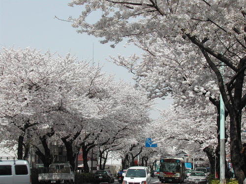 DSCN9570.JPGのサムネイル画像