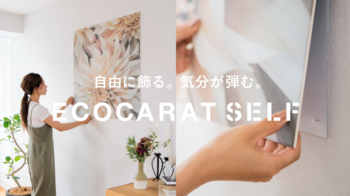 エコカラットセルフ.png