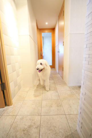 床がタイルだと思いっきり走れるよ