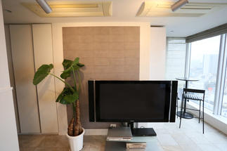 エコカラットでペット特有のニオイにさようなら