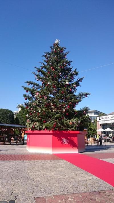 DSC_0237.JPGのサムネイル画像