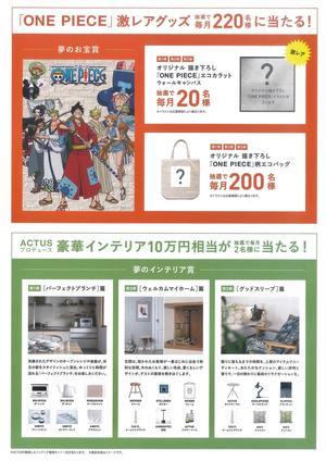 ワンピースチラシ3加工.jpg