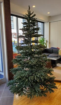 クリスマスツリー1.jpg
