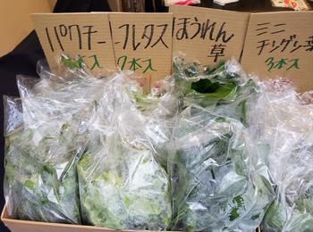野菜1修正.jpg