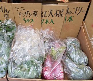 野菜2修正.jpg