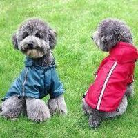 愛犬レインコート.jpg