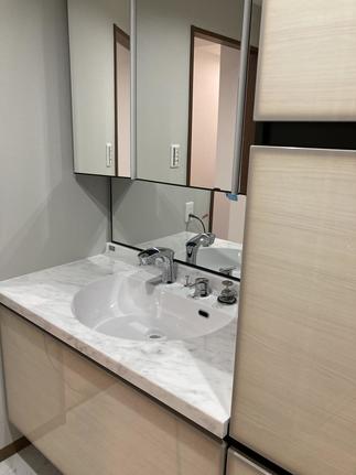 プレミアムドレッサー　ルミシス