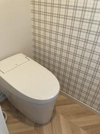 1Fトイレ：サティスSタイプ
