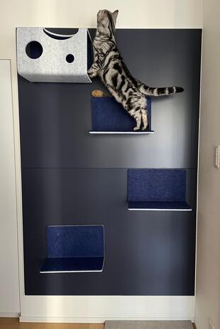 愛猫が自由に遊べる空間に＜大和市　猫壁　エコカラット　工事＞