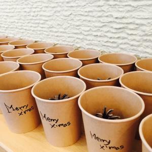 FullSizeRender (3).jpg