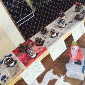 FullSizeRender (5).jpg