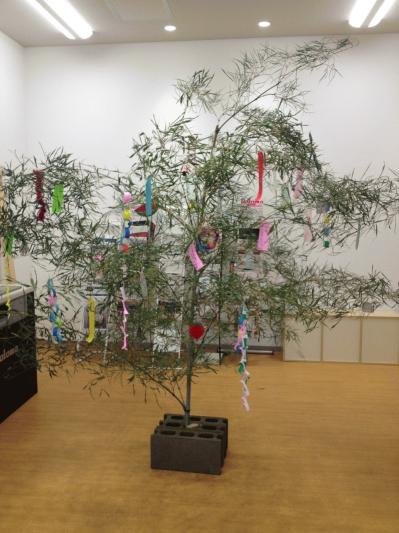 IMG_9604.jpgのサムネイル画像