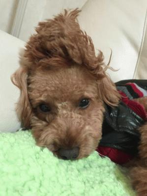 IMG_8240.jpgのサムネイル画像