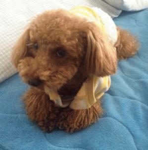 IMG_4637.jpgのサムネイル画像