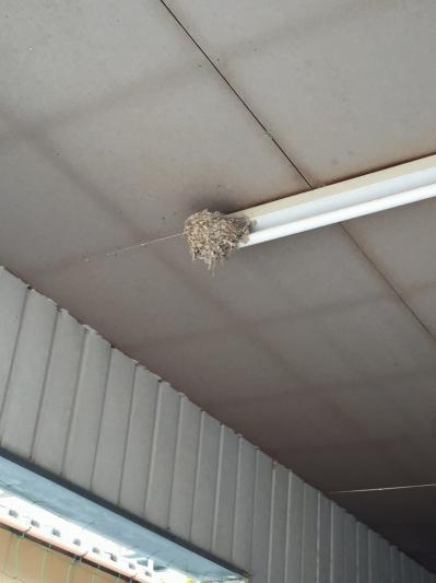 IMG_9184.jpgのサムネイル画像