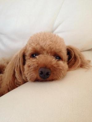 IMG_2227.jpgのサムネイル画像