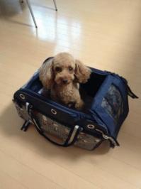 IMG_1629.jpgのサムネイル画像